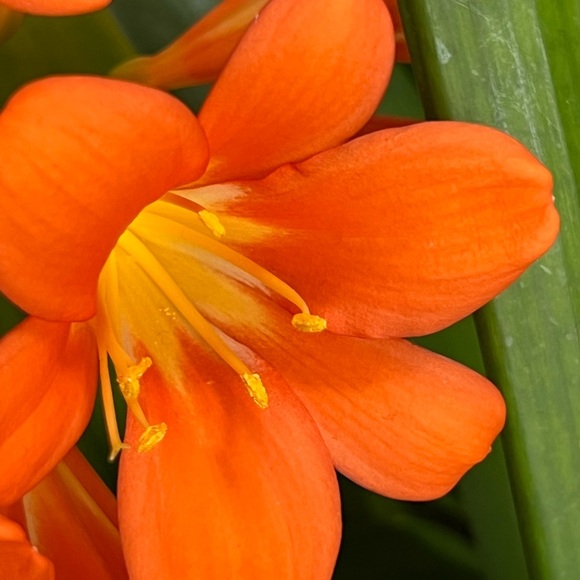 ❤️ LIKE to be notified when I go LIVE ❤️ - Picture 13 of 16